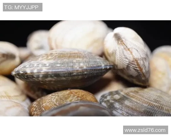 探索游泳运动的魅力与健康益处，提升体能与心理素质的全方位指南