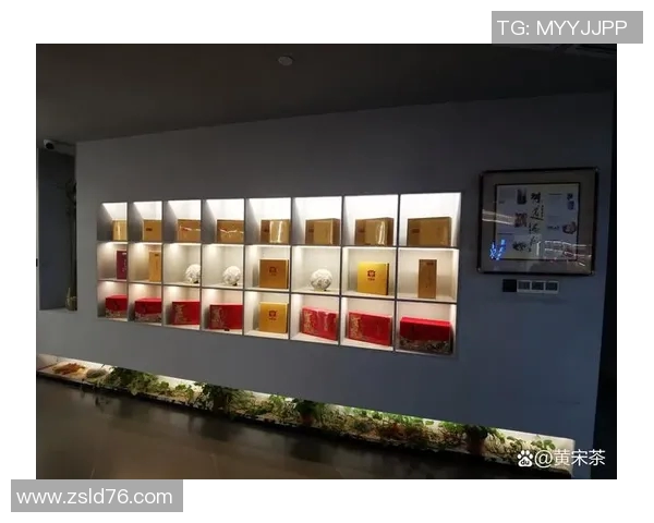 茶行为中心探索与研究：创新茶文化与社会行为互动的深度分析